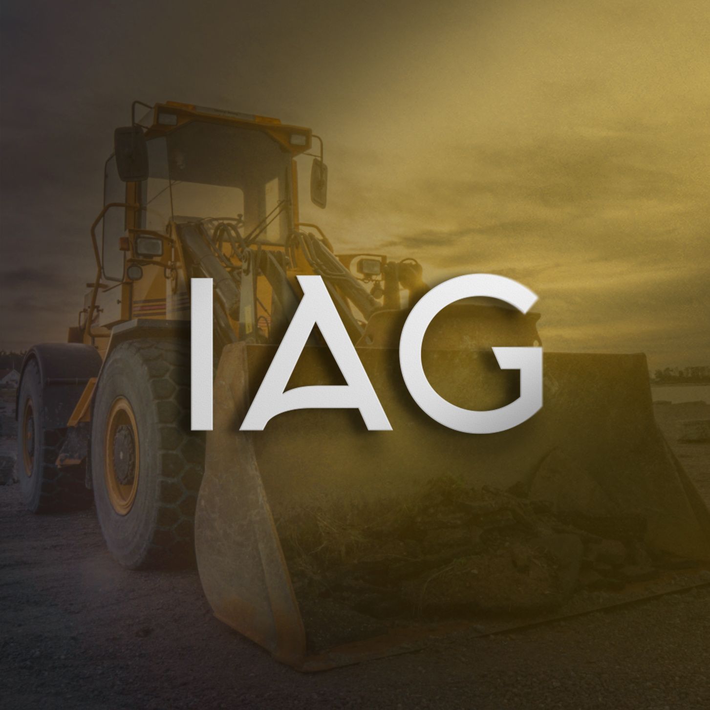 IAG Auction